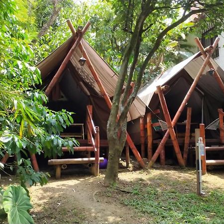 ميديلين Bambu Glamping Ecolodge المظهر الخارجي الصورة