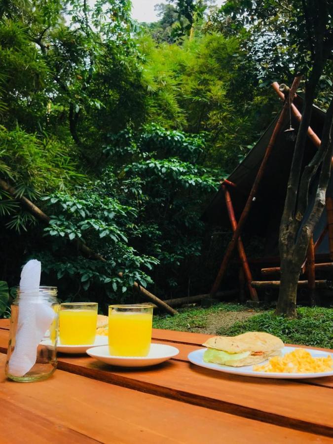 ميديلين Bambu Glamping Ecolodge المظهر الخارجي الصورة