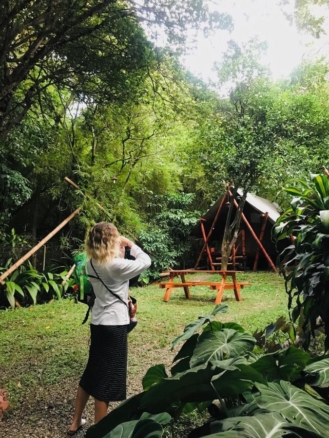 ميديلين Bambu Glamping Ecolodge المظهر الخارجي الصورة