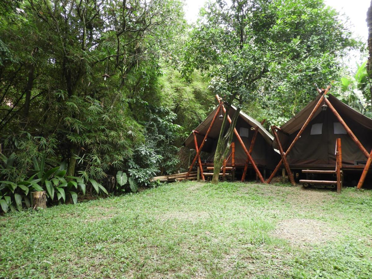 ميديلين Bambu Glamping Ecolodge المظهر الخارجي الصورة
